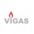 Vigas