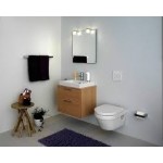 Pakabinamas unitazas Gustavsberg Hygienic Flush su Soft-close dangčiu